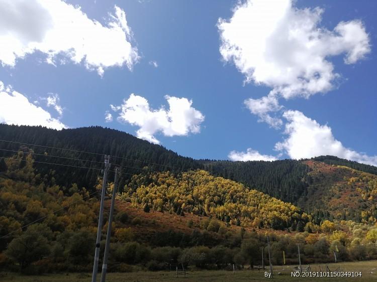 张坤最新在管规模655亿 较高峰期缩水过半